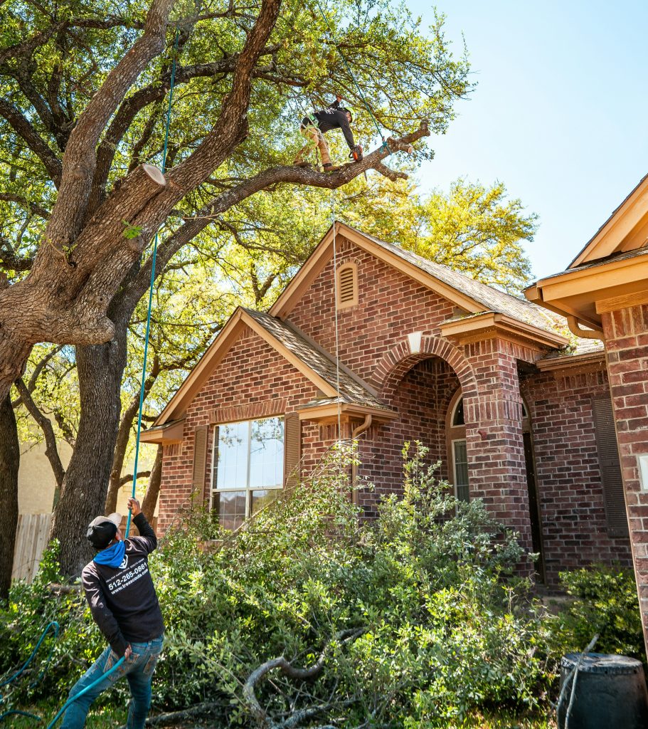 Tree Service SEO Georgia